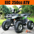 ATV QUAD BIKE 250CC (OFF ROAD)